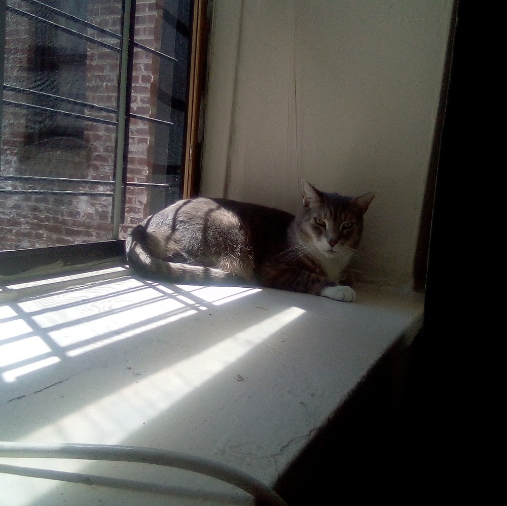 Meet your Posher, Artina